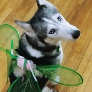 Meet your Posher, Lynn